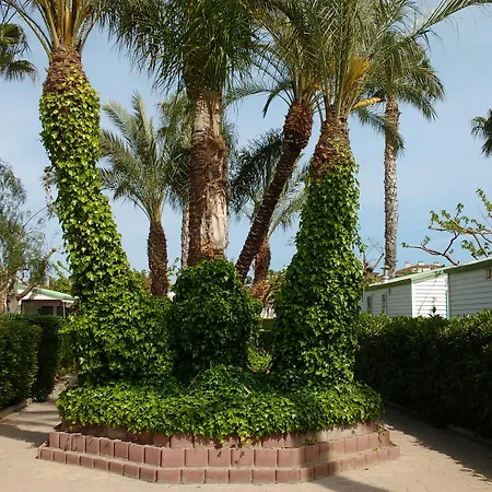 Camping Platja 3*